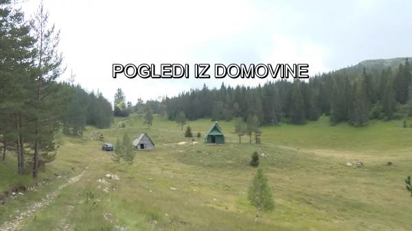 Pogledi iz domovine