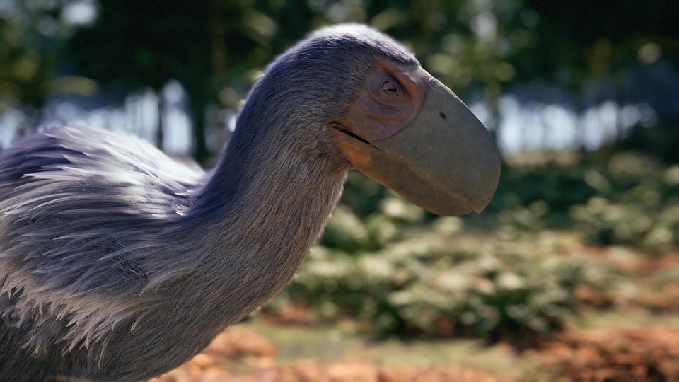 Документ Uspon ptica