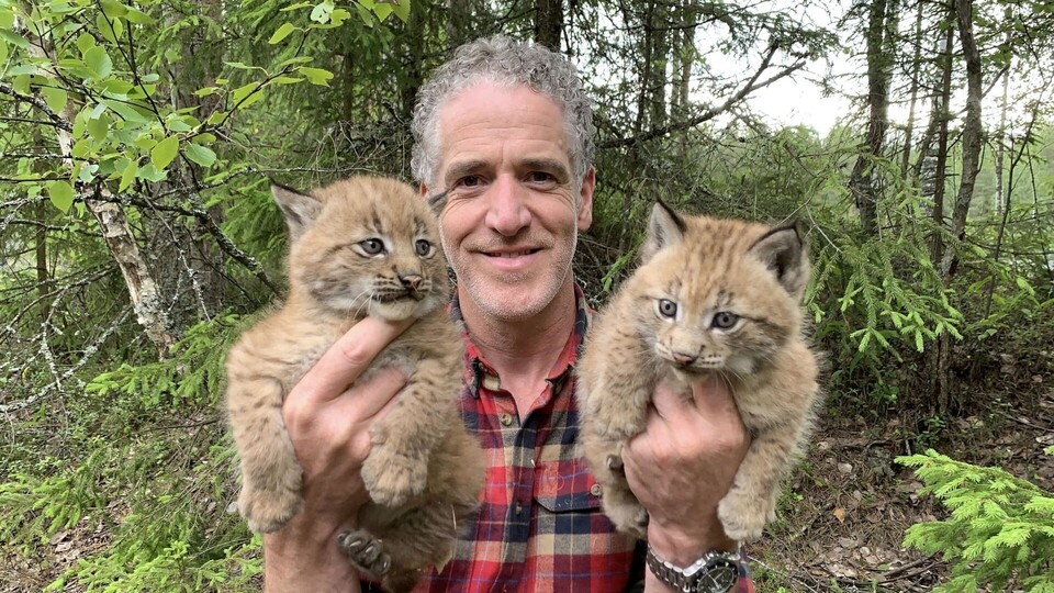 Documentaire Les bébés lynx et moi