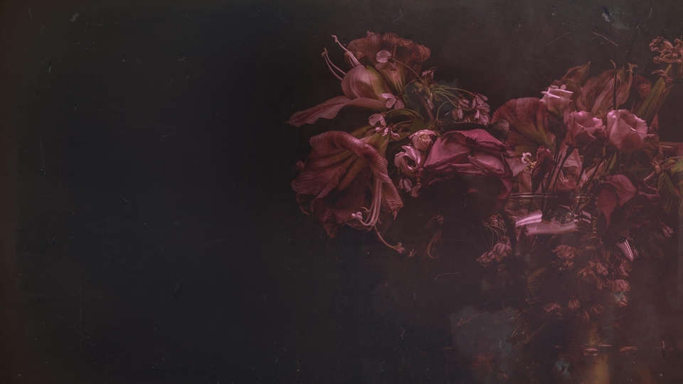 Документ Matriarch Of Murder?