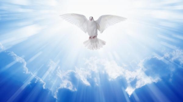 Przystań nad Biblią