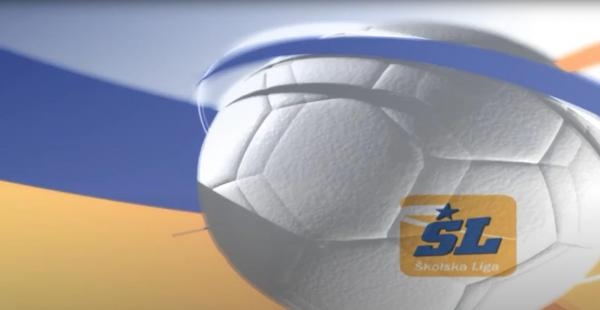 Školska liga