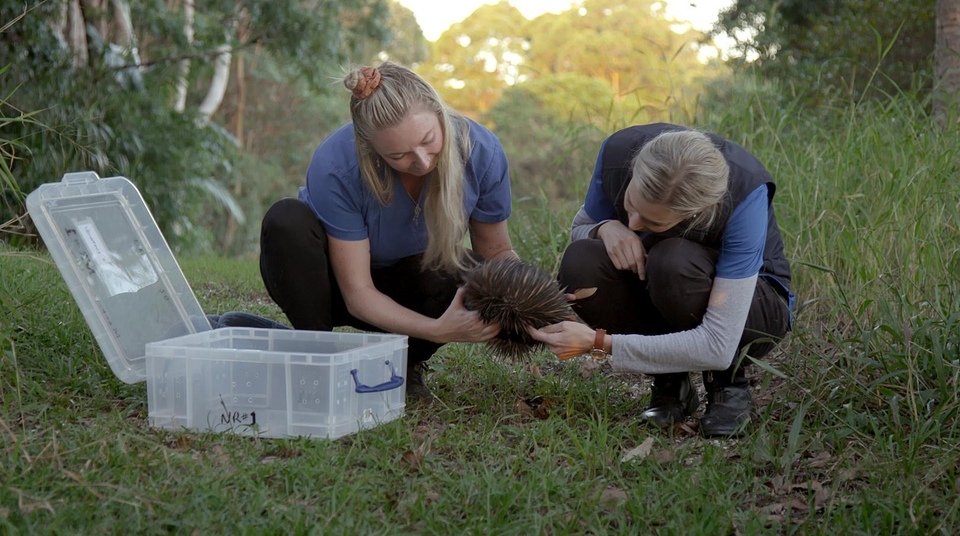 Dokumentarci Tim za spašavanje australskih divljih životinja