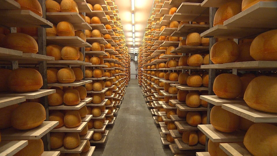 Documentary Les fromages du Nord gardent le cap