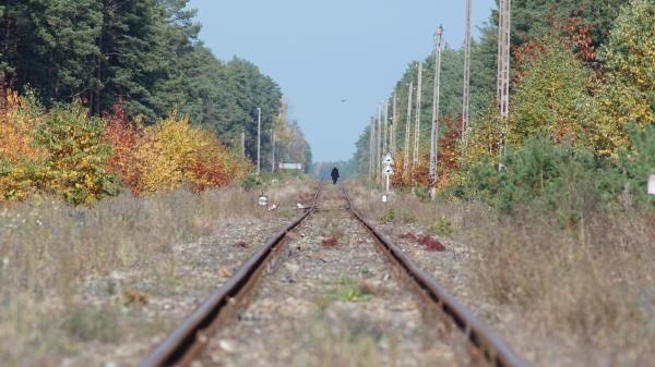 Sobibor: Anatomie vyhlazovacího tábora