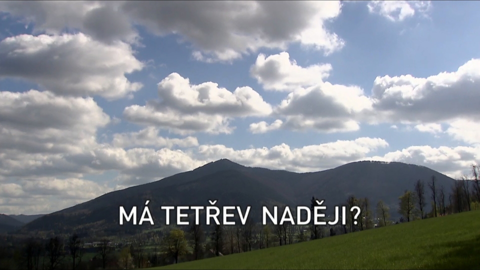 Dokument Má tetřev naději?