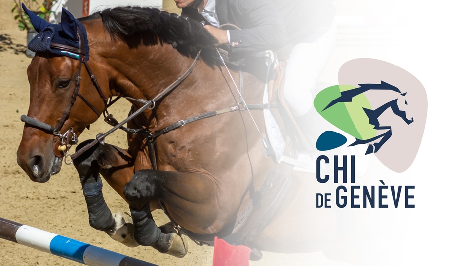 Najbolji konjičarstvo online