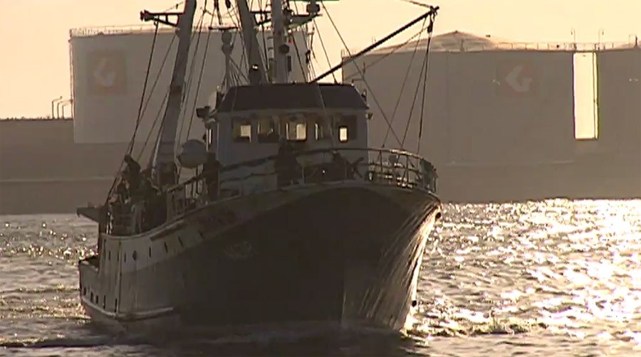 Documentary Okolo Porta