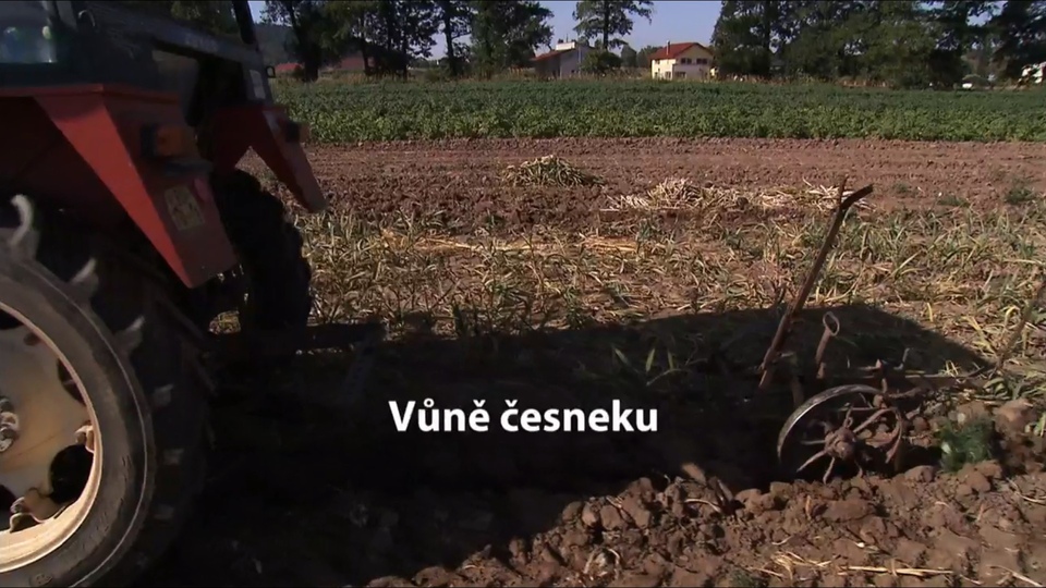 Documentary Vůně česneku