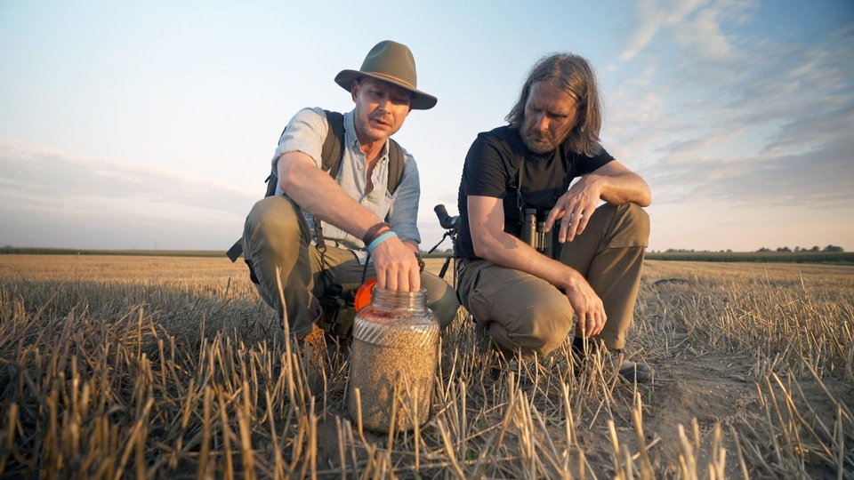 Documentary Podglądacze przyrody
