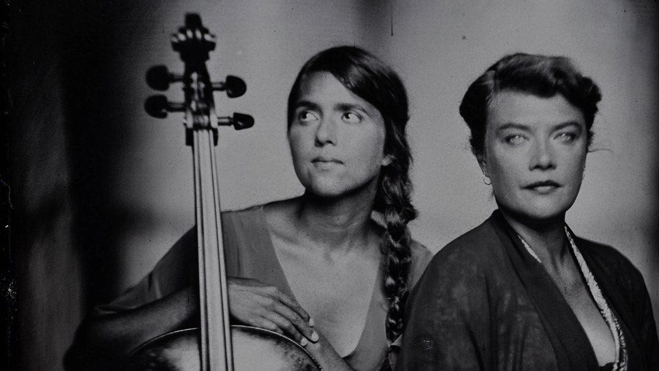 Birds On A&nbsp;Wire - Le Chant Des Oiseaux