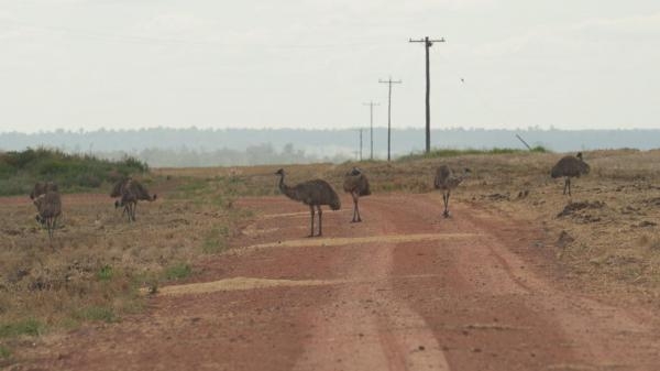 Australija na rubu klimatske propasti