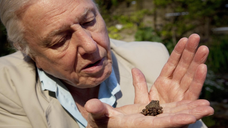 Dokument David Attenborough i cuda natury