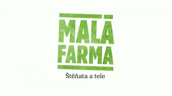 Štěňata a tele