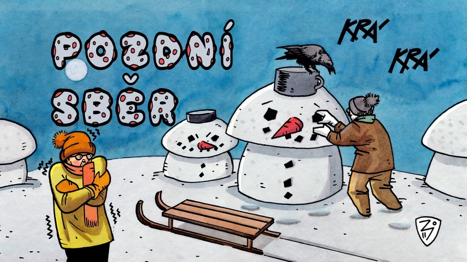 Documentary Pozdní sběr
