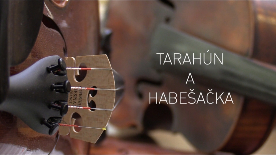 Dokument Tarahún a Habešačka
