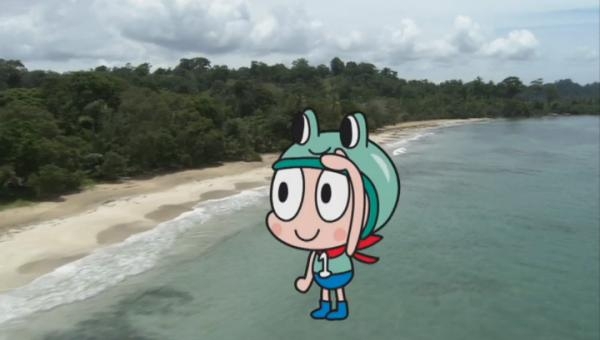 Hvězdy zvířecí říše