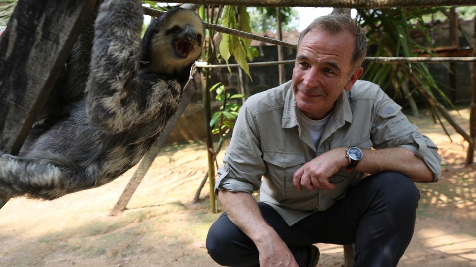 Dokument Amazonia z Robsonem Greenem