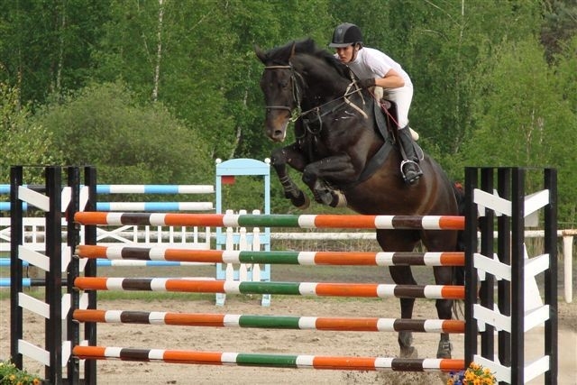 The best equestrianism online