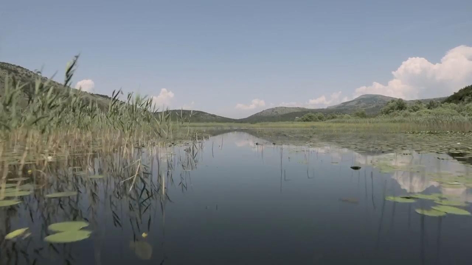 Dokumentarci CG zemlja pelikana