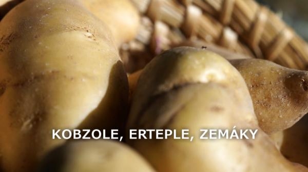 Kobzole, erteple, zemáky