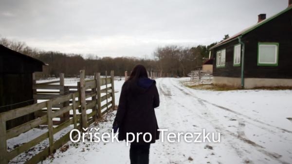 Oříšek pro Terezku
