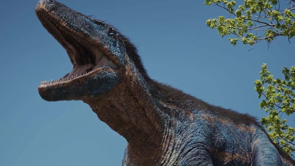 Dokument L'autre monde des dinosaures