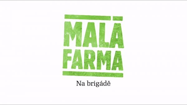 Na brigádě