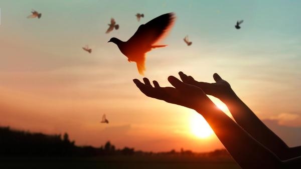 Pasterka z Archikatedry Białostockiej