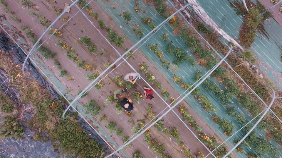 Dokument On va déguster