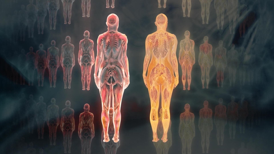 Dokument Notre corps, ce réseau social