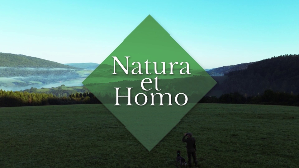 Film Natura et Homo