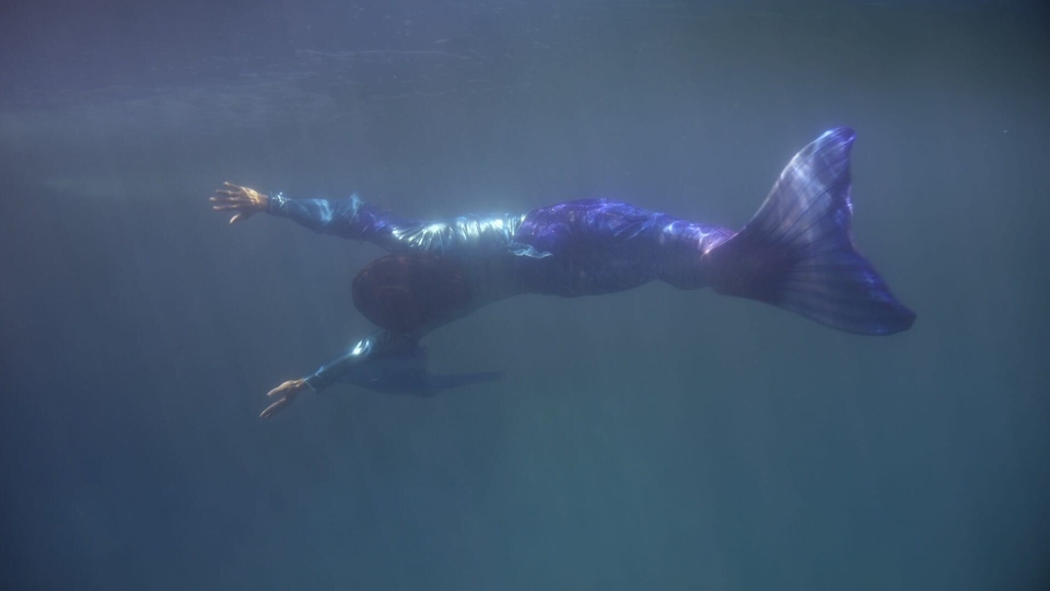 Film Cachez cette barbe !