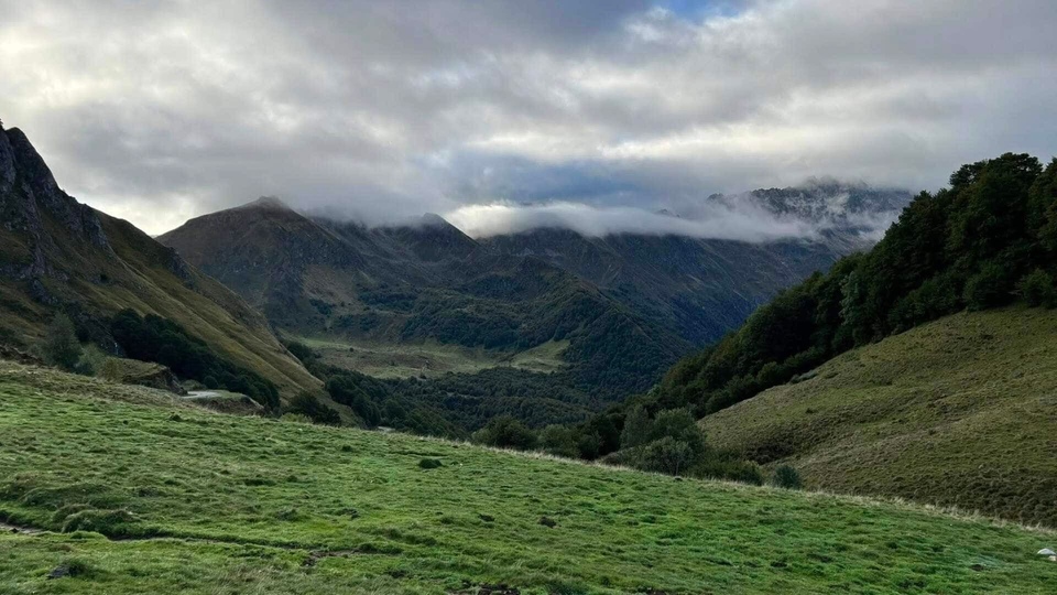 Chronique d'en haut