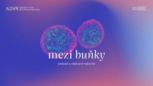 Mezi buňky