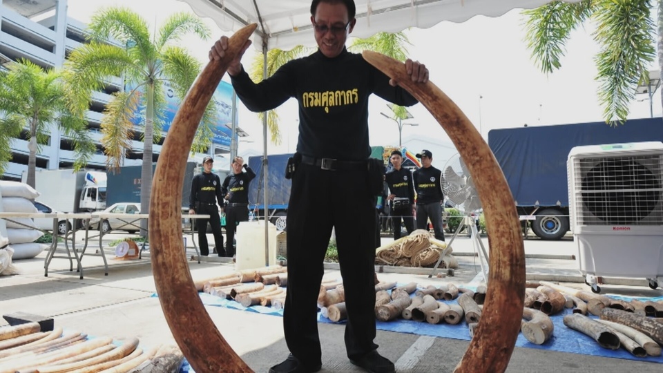 Документ Planet Killers