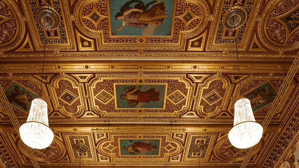 Le grand concert du Philharmonique de Vienne au Palais Garnier
