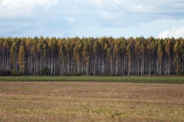 Время человека: Жизнь лесорубов