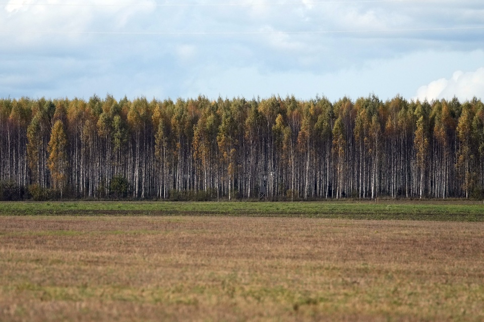 Время человека: Жизнь лесорубов