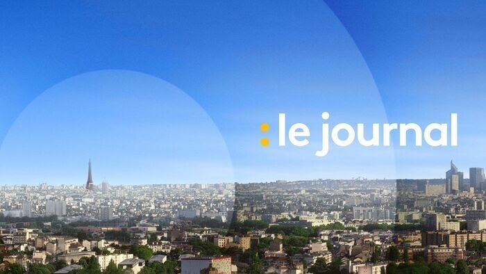 franceinfo: