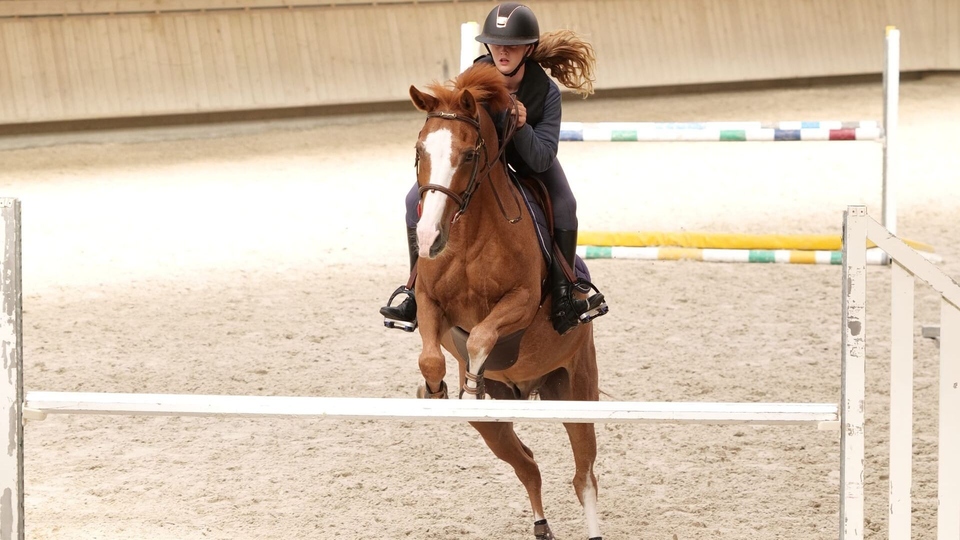 Документ Au galop ! Une saison a cheval