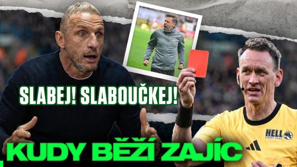 KUDY BĚŽÍ ZAJÍC
