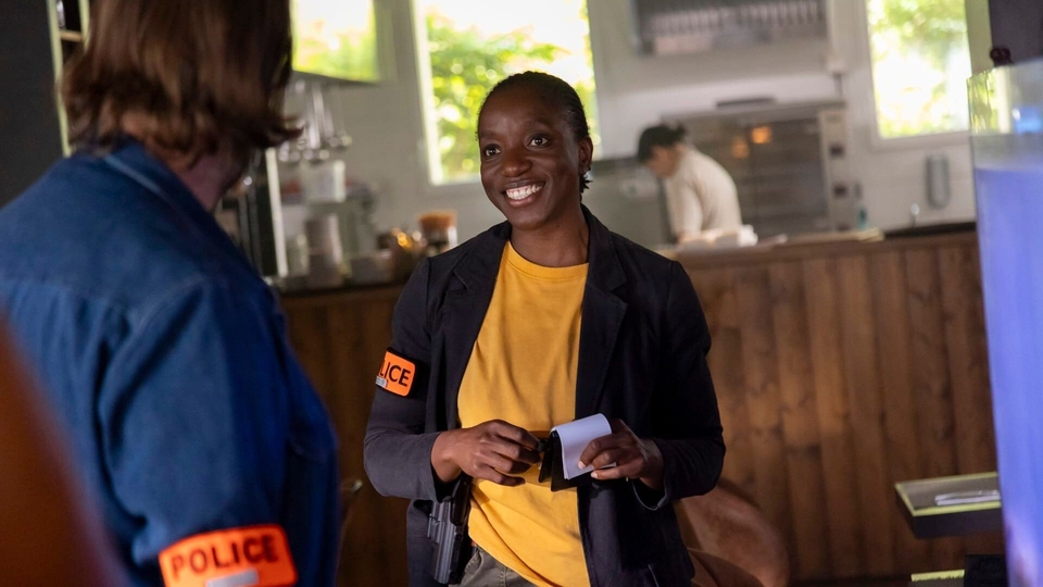 Series Betes de flic