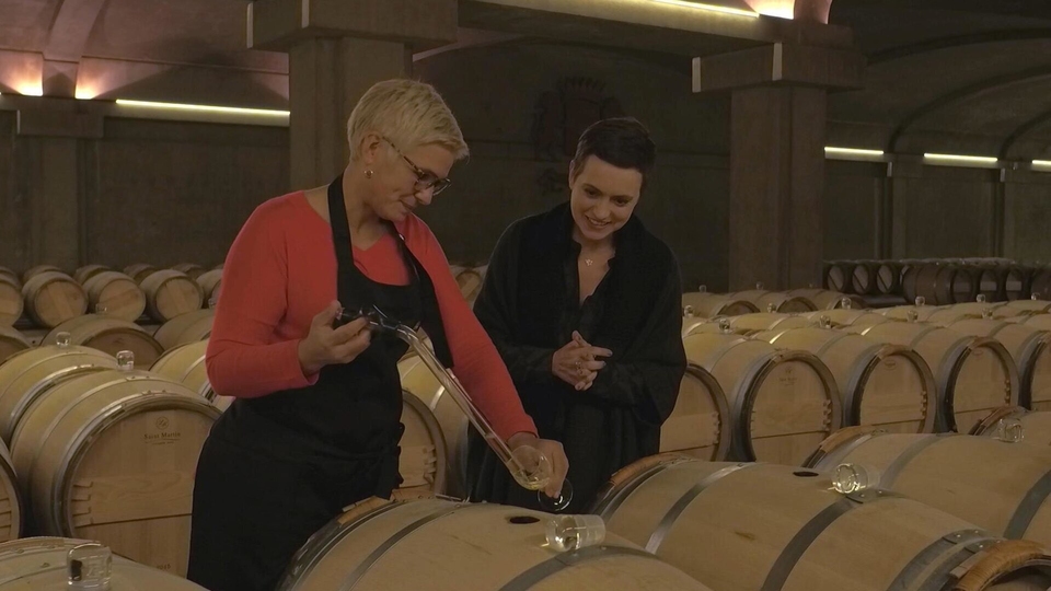 Dokument Les trésors des vignobles français