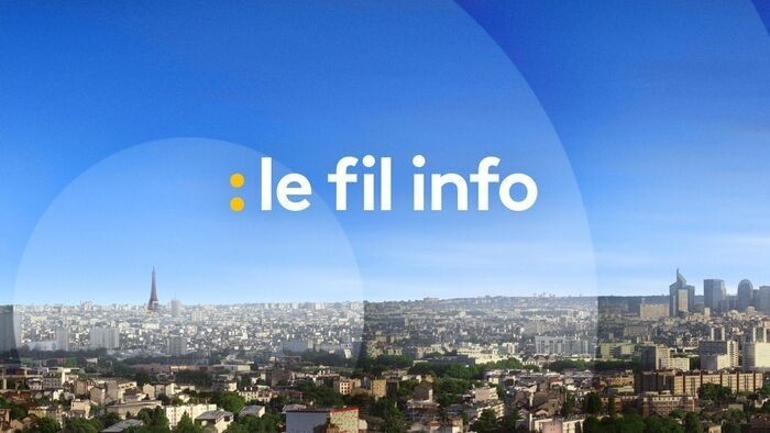 franceinfo: