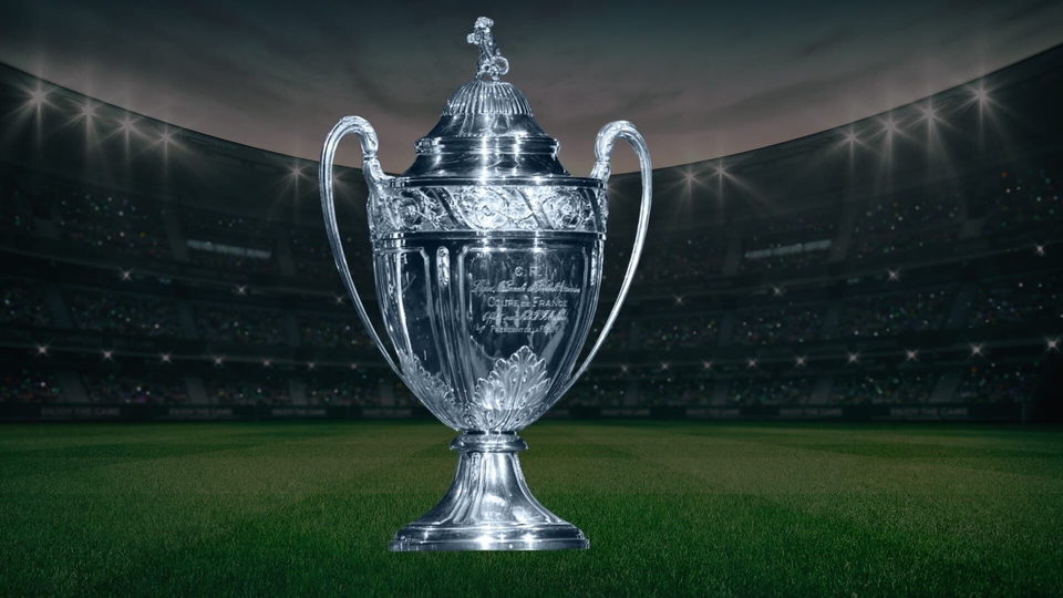Coupe de France: Paris-SG / Reims