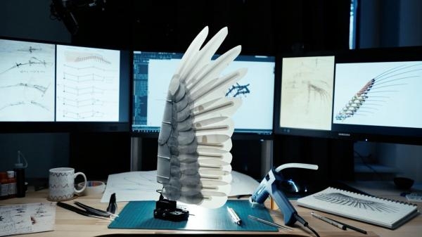 Le reve de Léonard: les secrets du vol dans la nature