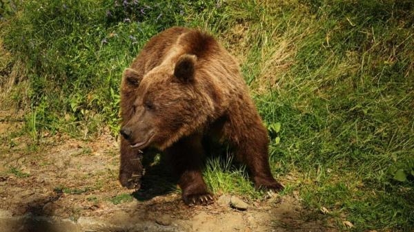 Roumanie, le charme des Balkans