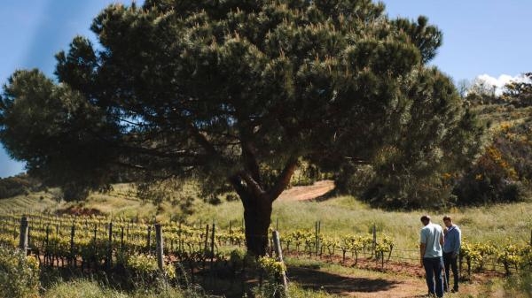 La terre et le sang