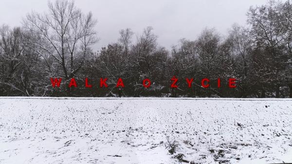 Walka o życie